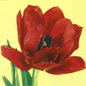 107 Tulips - 3-ply